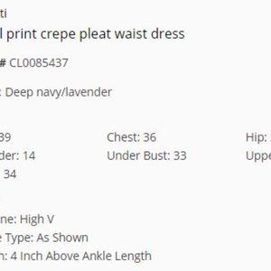 Floral Print Crepe Pleat Waist Dress